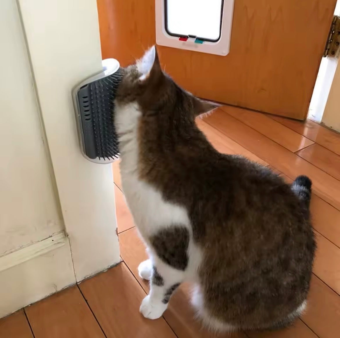 Escova de Canto para Gatos - Massageia e Remove Pelos.